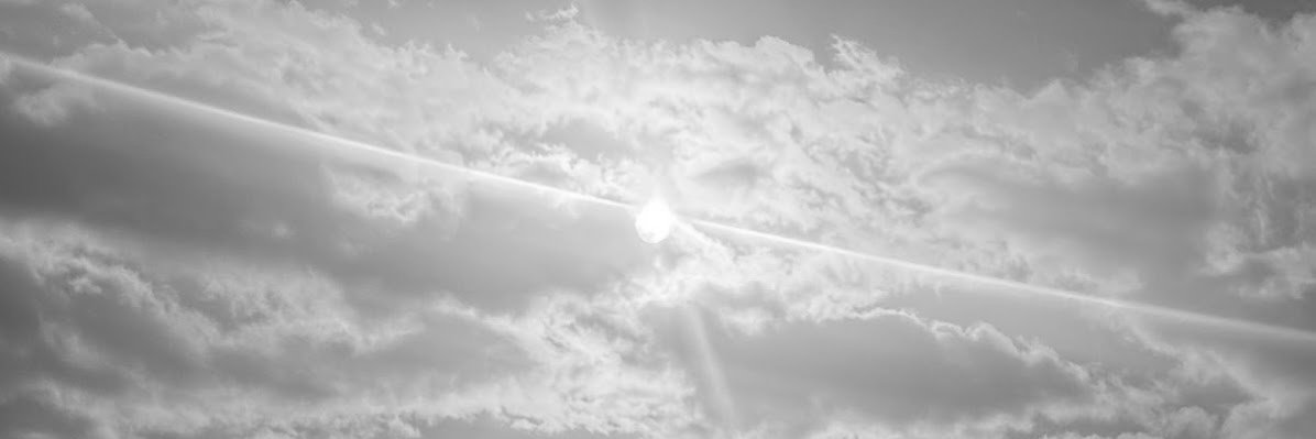 Mina Fahmi's banner