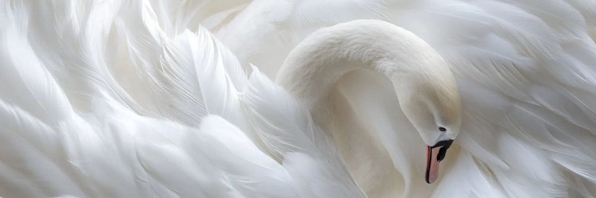 ‏𝐿's banner