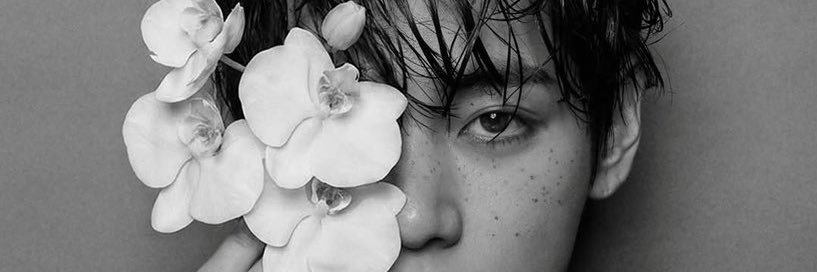 *✧'s banner
