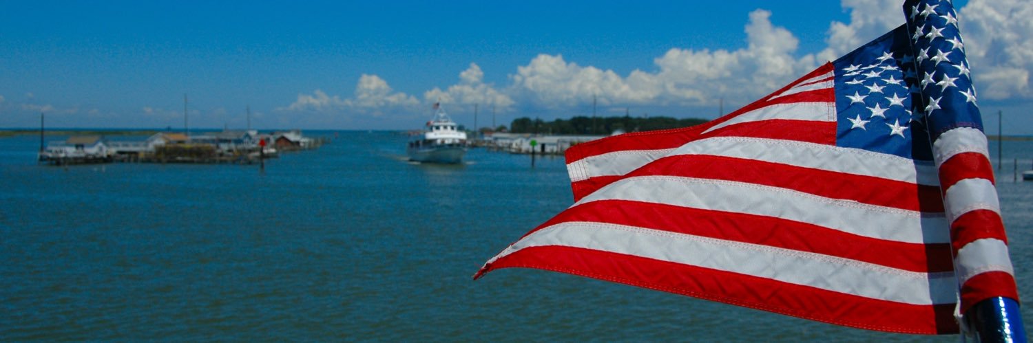 Art The Patriot 🇺🇸's banner