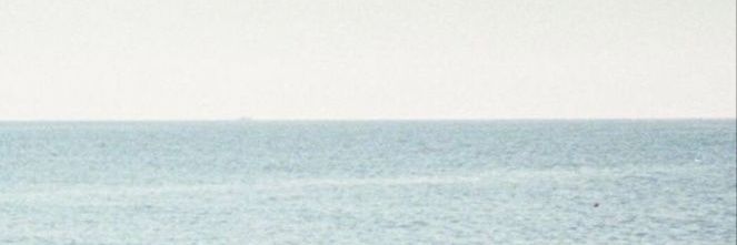 mago's banner