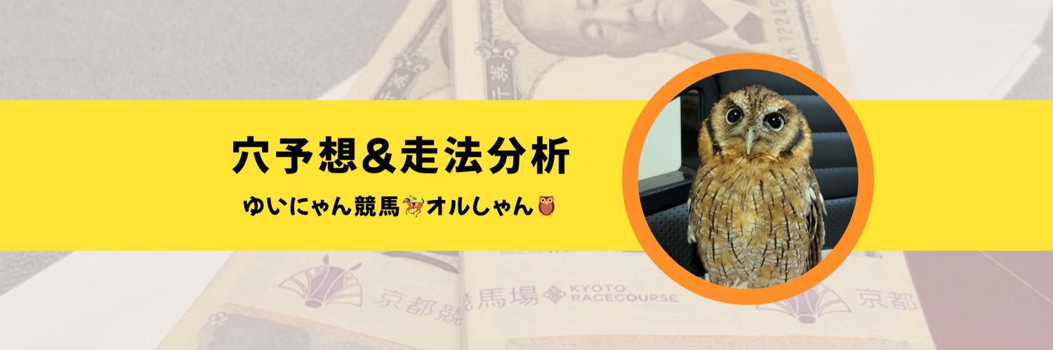 ゆいにゃん競馬🐴's banner