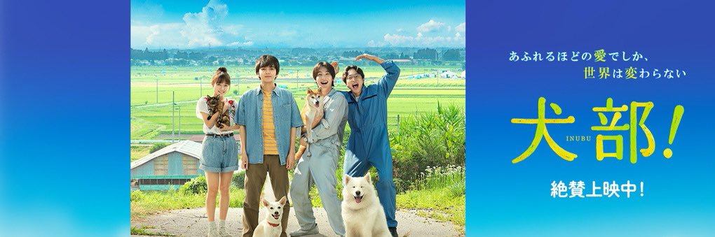 映画『犬部！』公式's banner