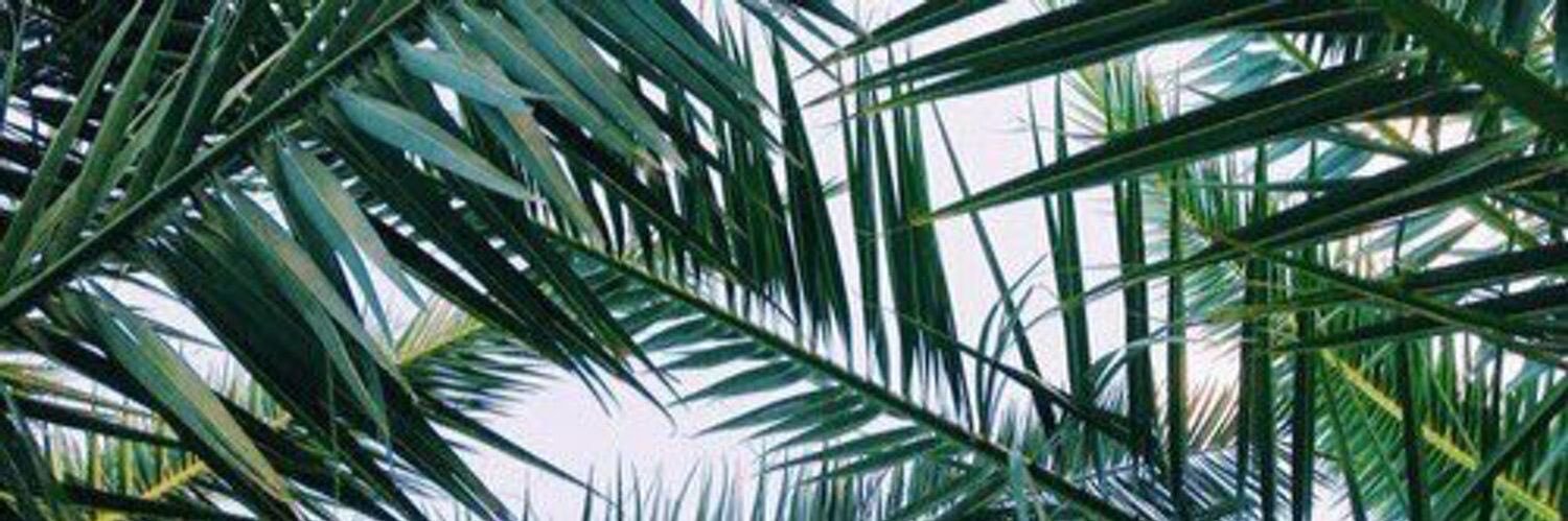 MARESE 🏹's banner
