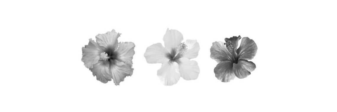thay ⭐️'s banner