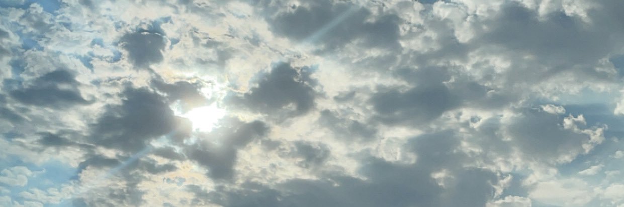 بسام فتيني's banner