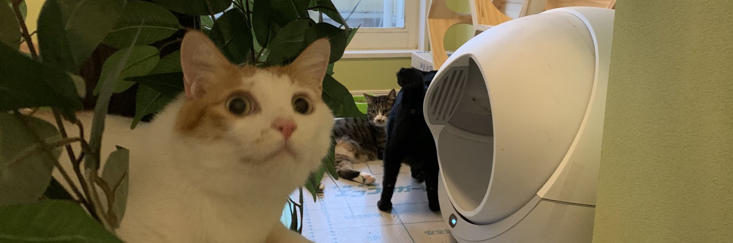 ネコ部屋【ひげまるカフェ中の人】's banner