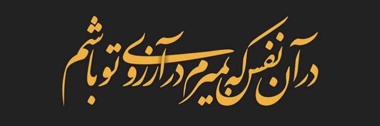 AminFakoor's banner