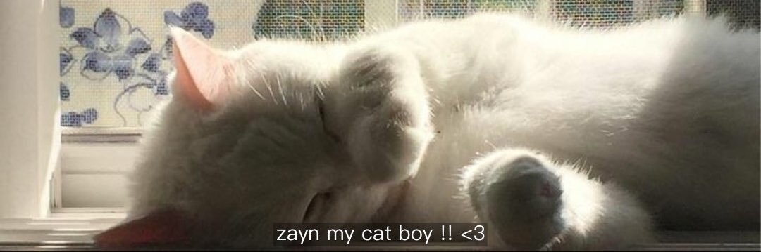 yasmin 💋🪩🐆's banner