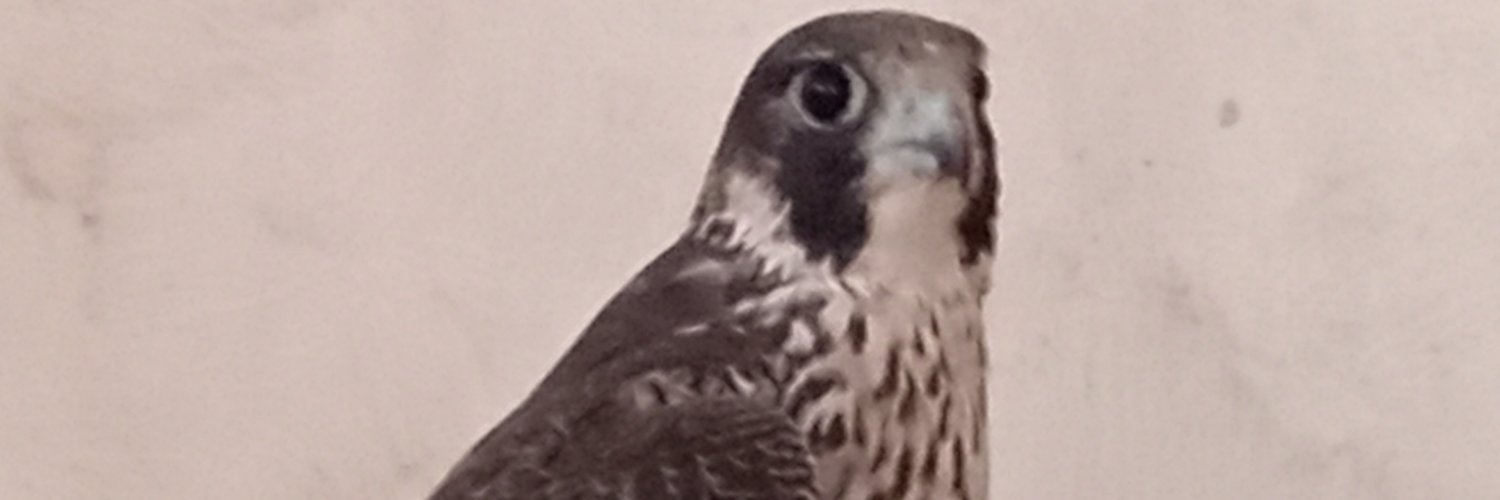 خالد الشبواني khalib Alshebwaniy's banner