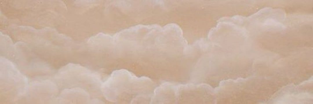 julia 🐥's banner