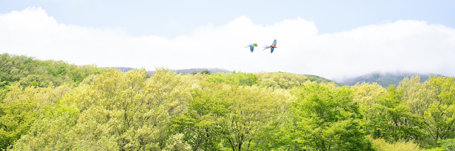 那須どうぶつ王国｜栃木観光・動物園's banner