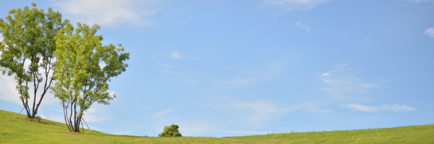 树承妙妙屋's banner