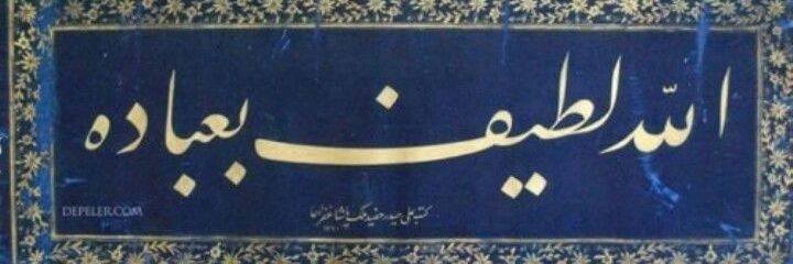 جارة الوادي 🍃's banner