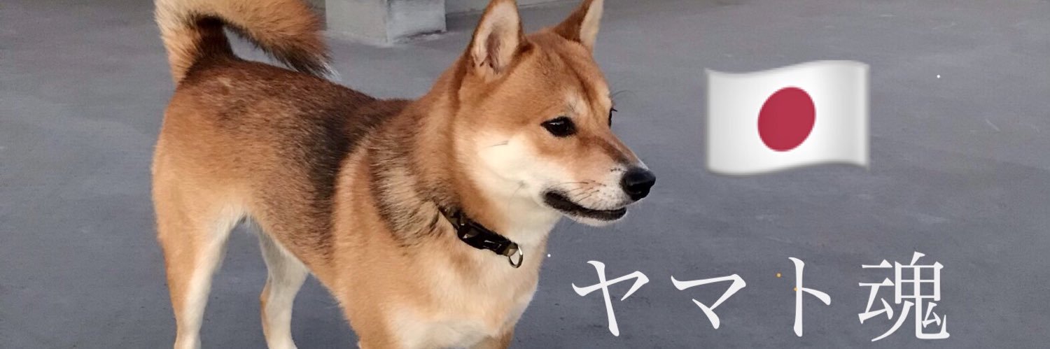 😸愛犬ヤマト's banner