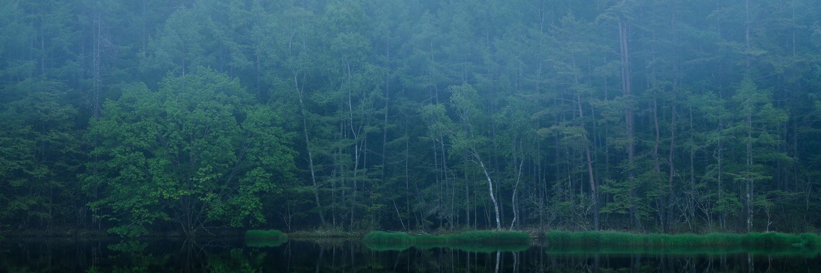 山霧 棲's banner