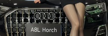 卖汽车的王阿姨🌊's banner
