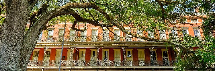 Fix New Orleans's banner