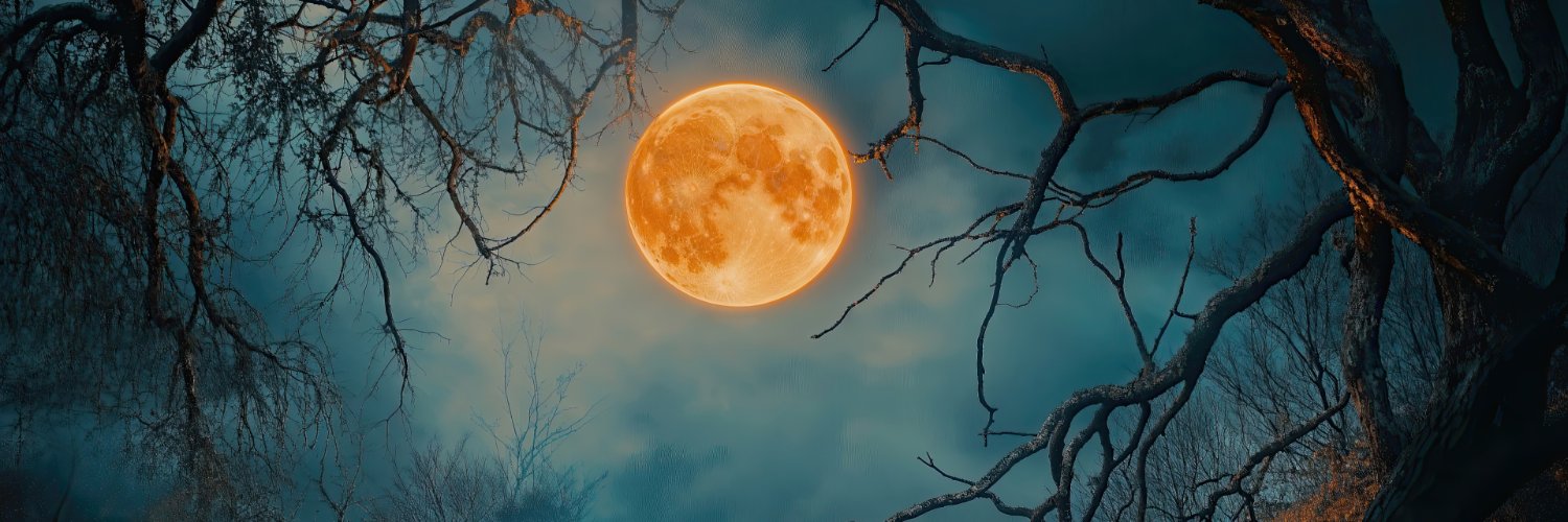 TheNerdyFox 🎃's banner