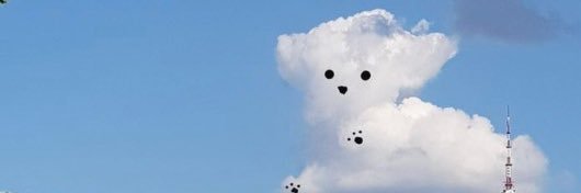 재둥이's banner