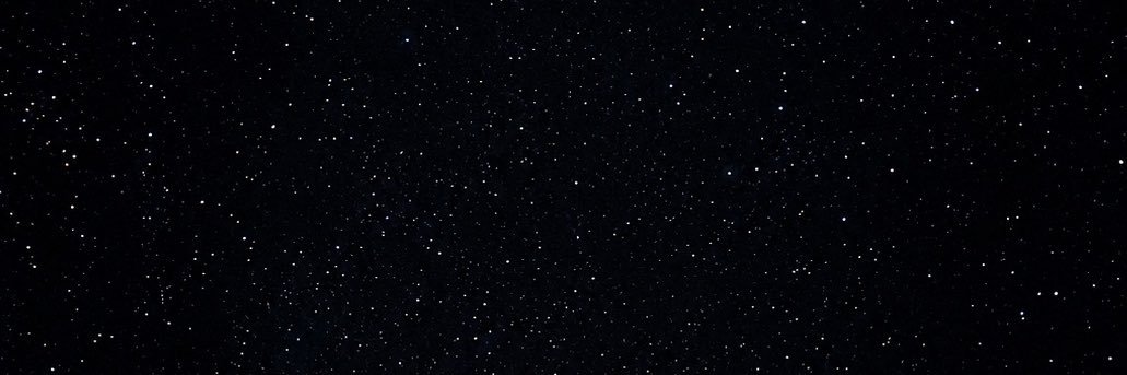 🦇's banner