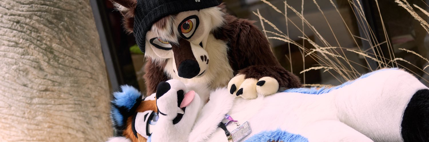 Ari 🦊 🔜 FWA/AC's banner