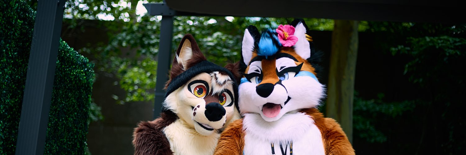 Ari 🦊's banner