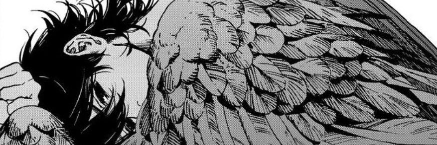 wilma fingerdo's banner