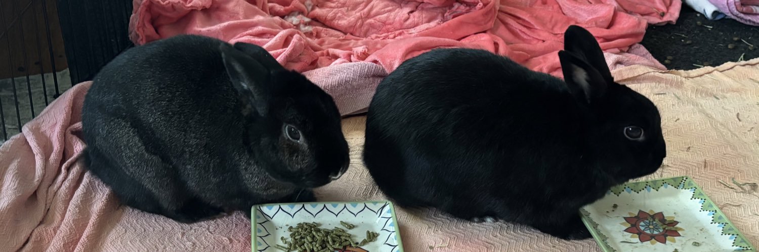 Nubster & Baby Mona's banner