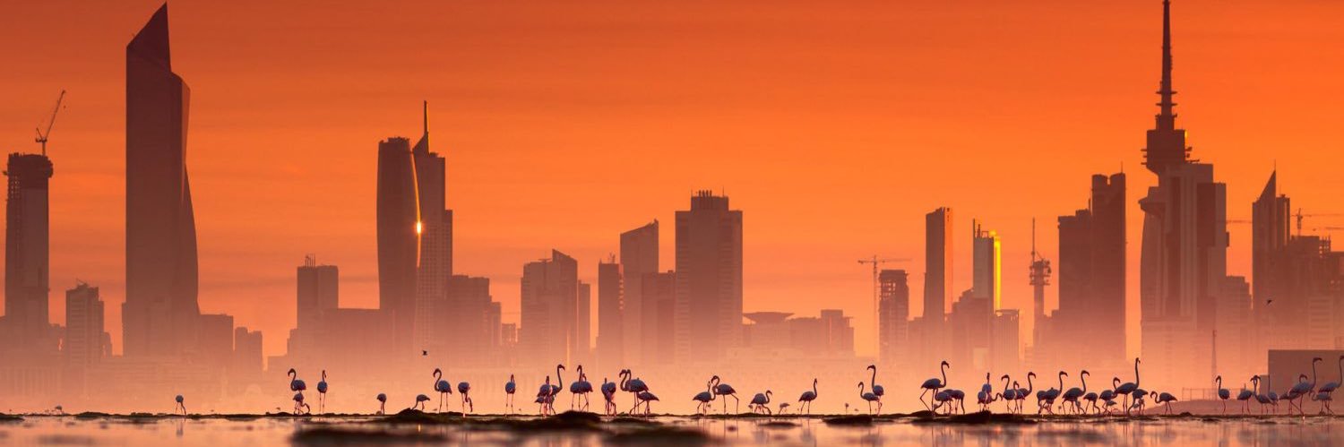 زيد جاسم الزيد's banner