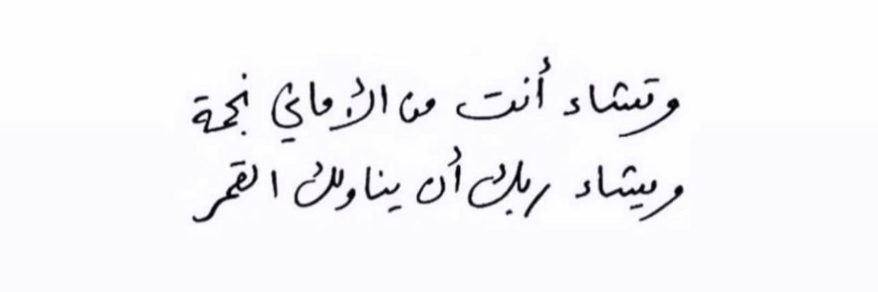 سُكرة🍥🌿's banner