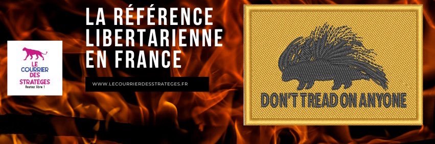 CourrierDesStratèges's banner