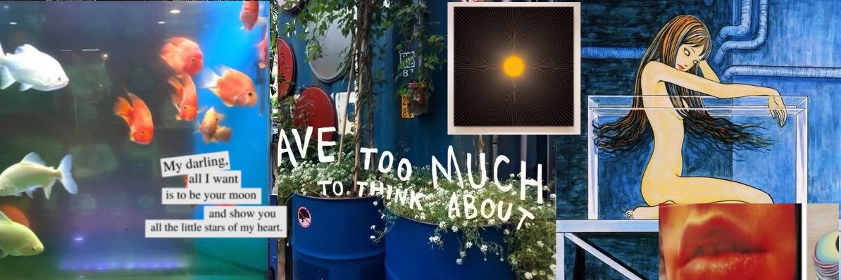 abru 🧚🏻's banner