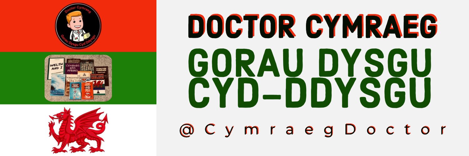 DoctorCymraeg's banner