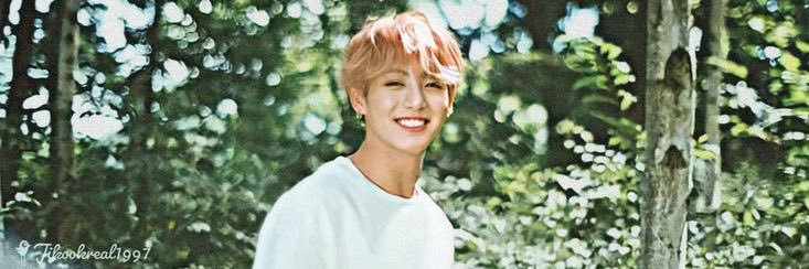 liz ⁷ •ᴗ• | looking for moots!'s banner