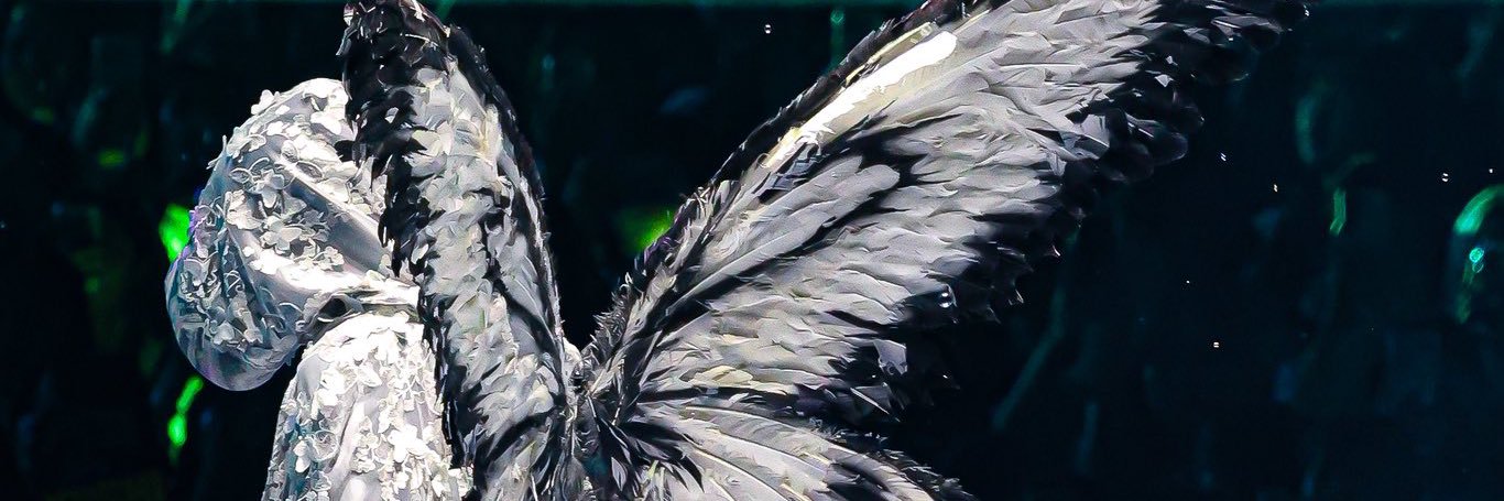 이 🐳's banner