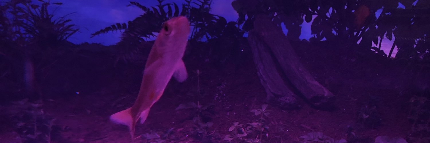 Rukario's banner