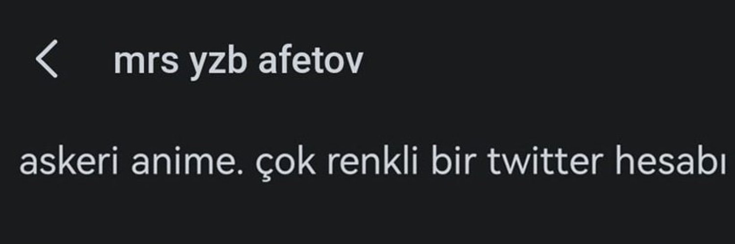 mrs yzb afetov's banner