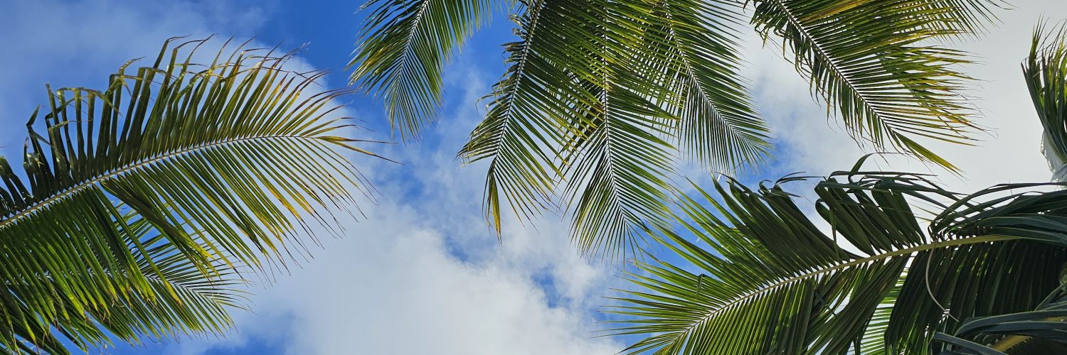 Katnparadise's banner