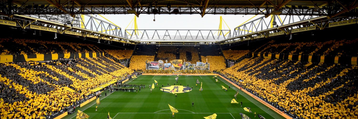 schwarzundgelb's banner
