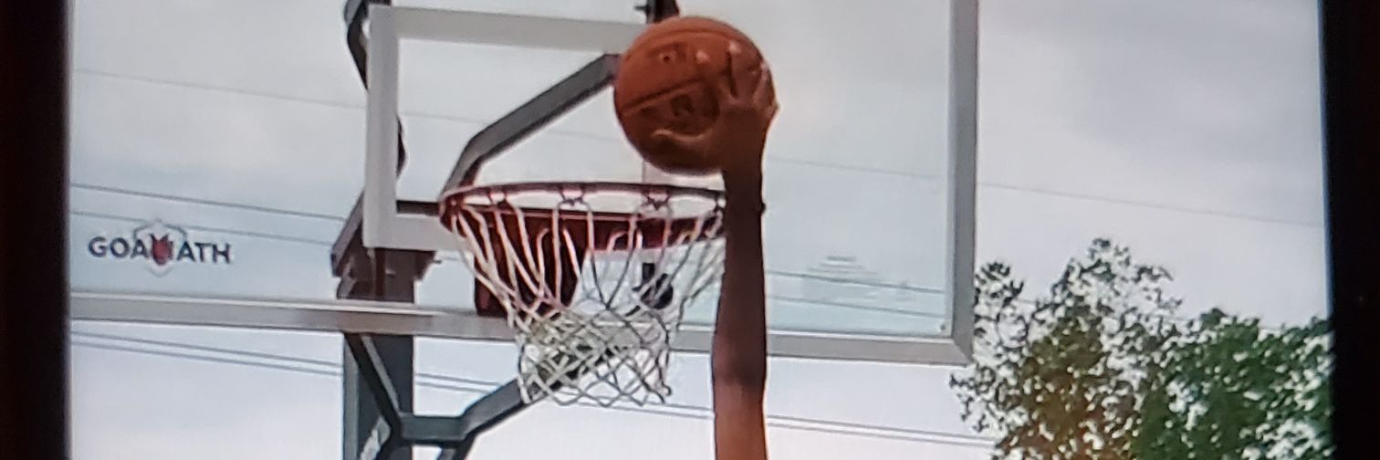 Dabeautifulballa40's banner