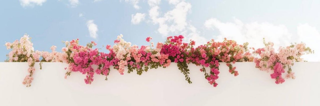你的语文老师's banner