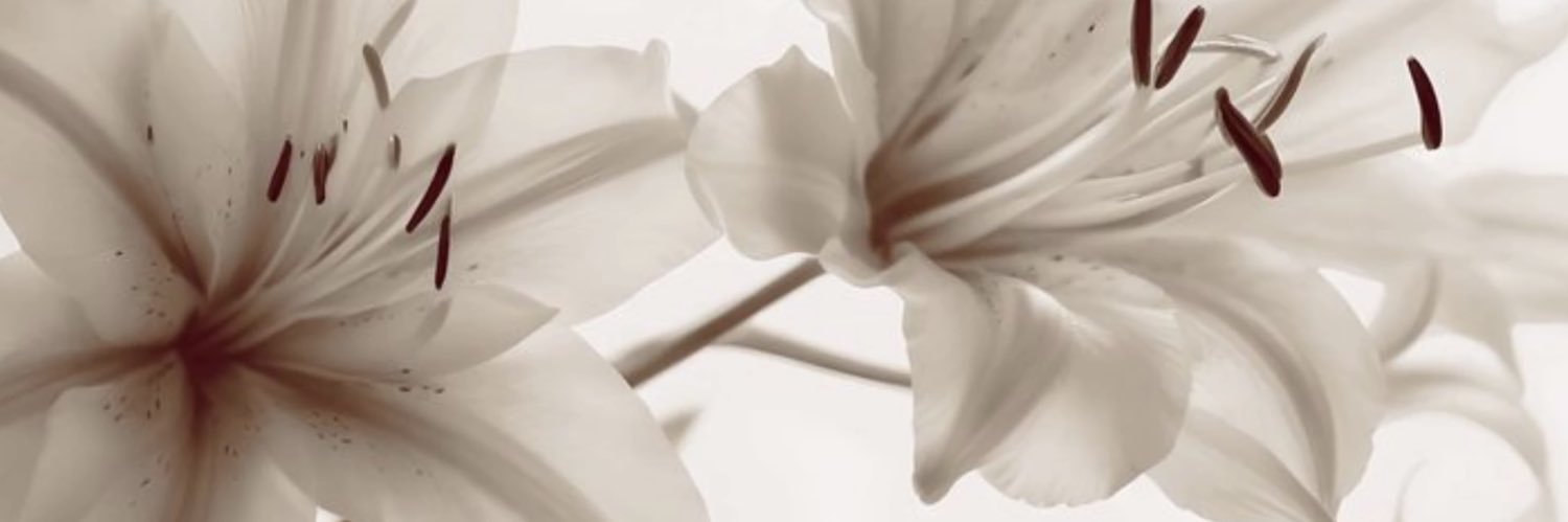 ★'s banner