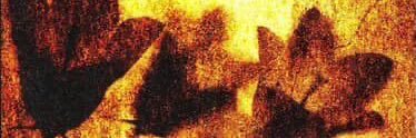 ★'s banner