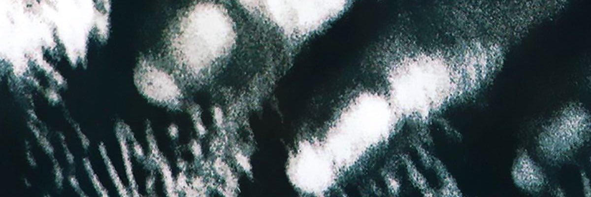 lipe xeque mate gaviões da fiel's banner