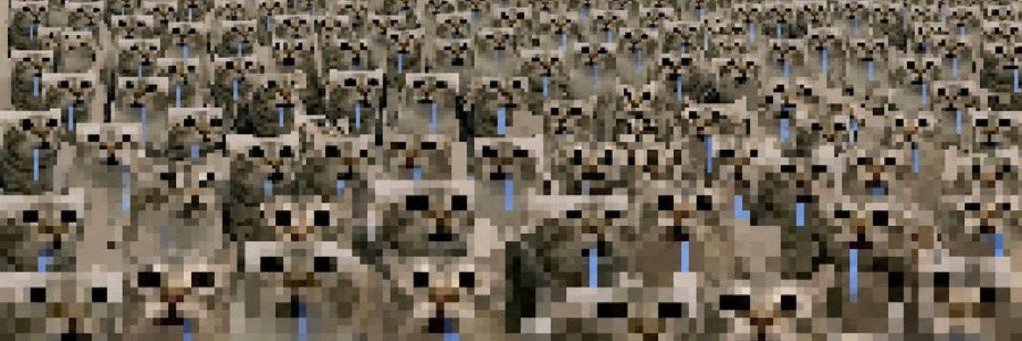 droolingcatCTO 💧's banner