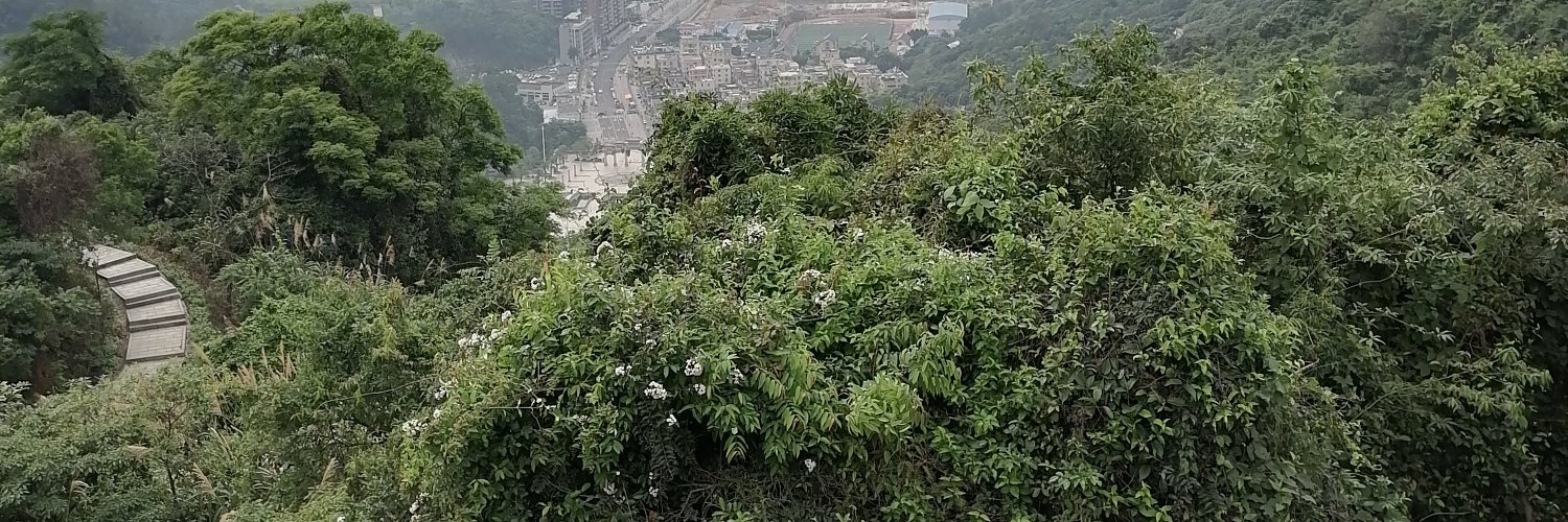 不养宠物的hong姐's banner