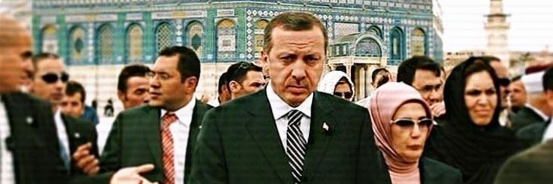 Politic Edit's banner