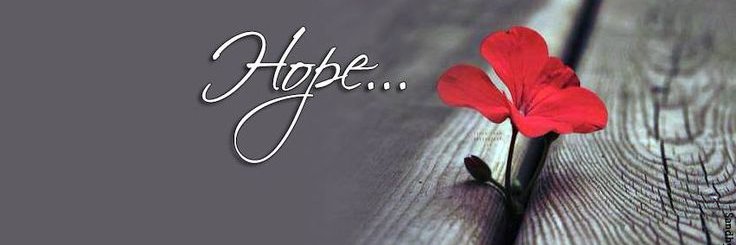 Ankita💐's banner