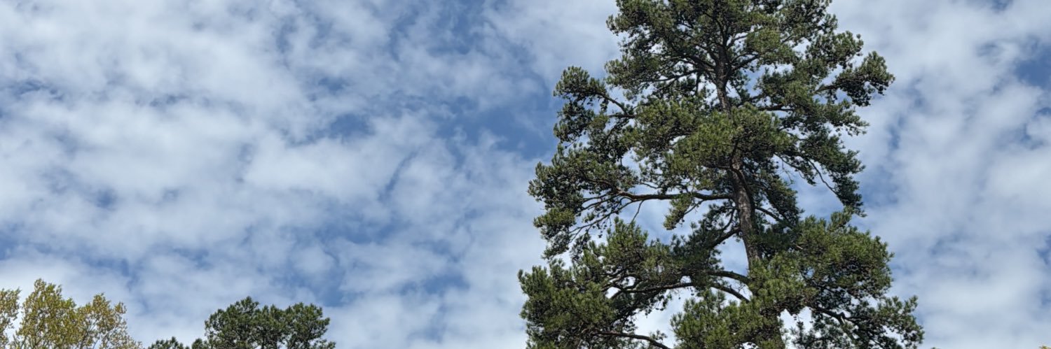 LisaMarie's banner
